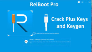 Tenorshare ReiBoot Pro 10.8.9 Crack + Registration Code [2023]